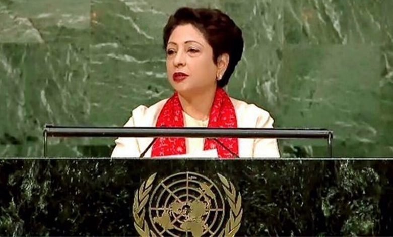 Maleeha Lodhi