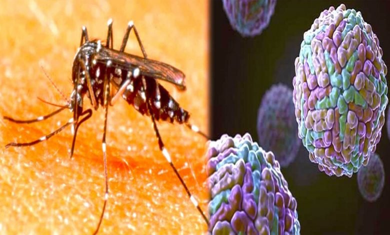 ڈینگی کے ڈنگ سے16ہلاک 1 mach