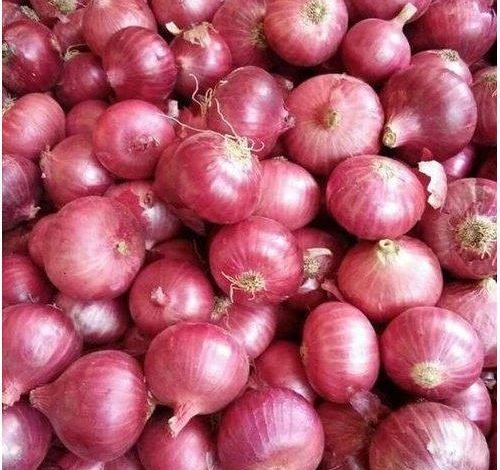 red onion 500x500