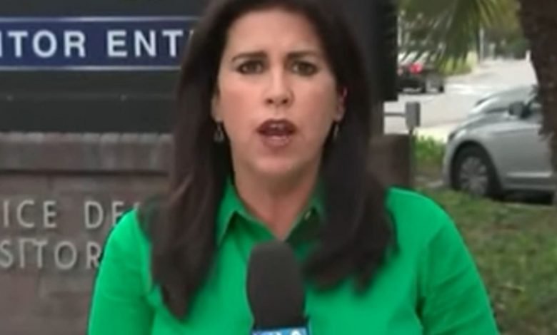 وائرل ہونے کیلئے امریکی صحافی نے کیا کہا؟ 1 stupid reporter 1568958362