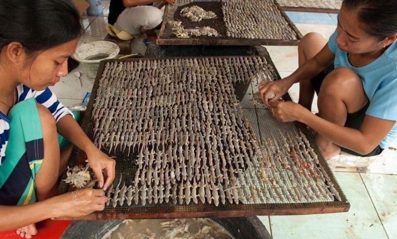 خواتین کے چہروں پر چھپکلیوں کا پیسٹ 1 205822 8577085 updates