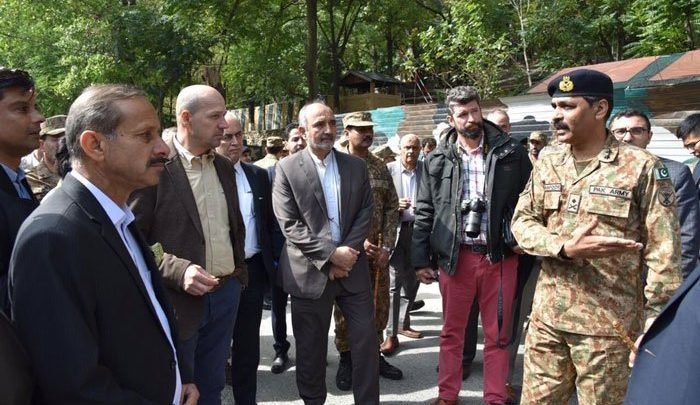 206956 5968334 updates