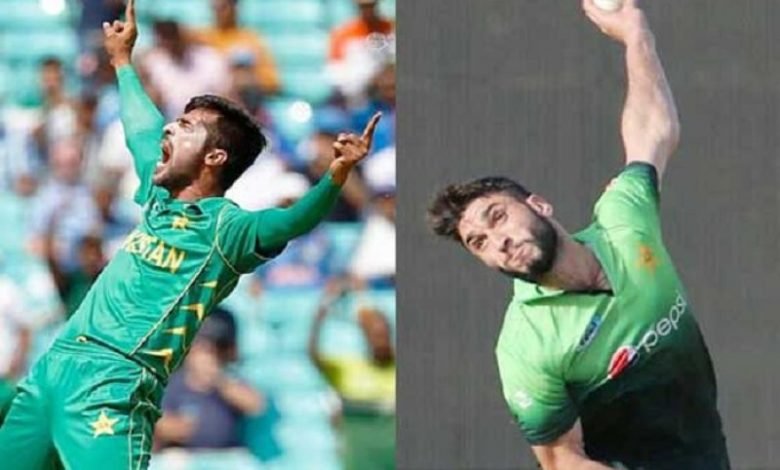 محمد عامر سمیت پاکستانی کرکٹرز کی عالمی رینکنگ میں ترقی 1 Cricketers