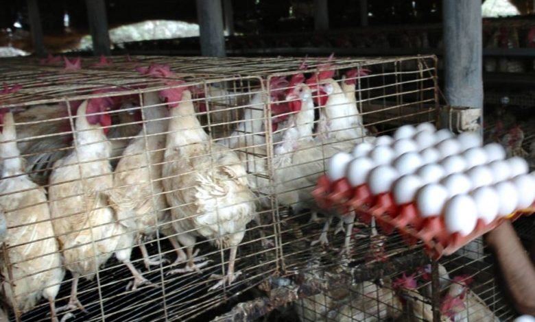 DF0EF446 62A7 47A3 8C53 C823205BBF3C cx0 cy6 cw69 w1023 r1 s