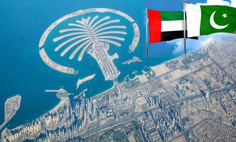 یو اے ای کی پاکستان کو لیبرمارکیٹ کے ڈیٹابیس تک رسائی کی پیشکش 1 UAE Pakisan