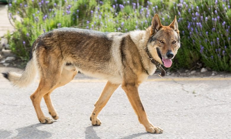 WhatsApp Image 2019 10 22 at 4.04.59 PM