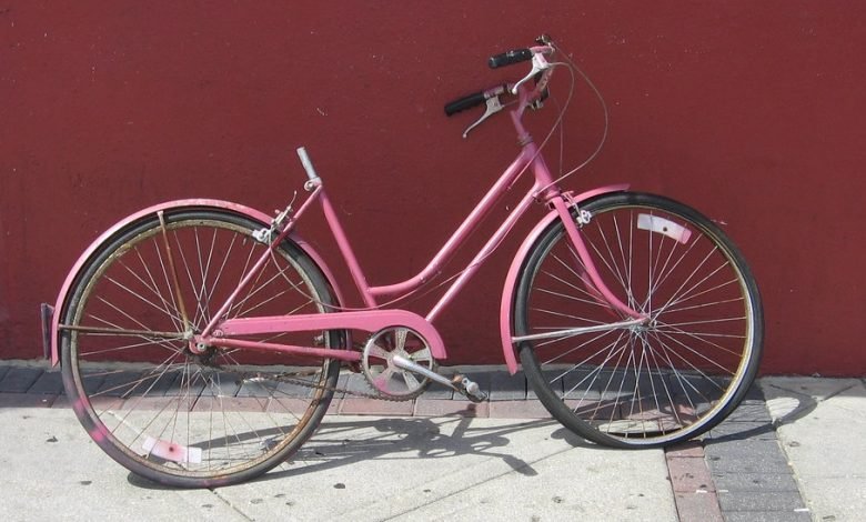 جاپانی شہری کا انتقام، سائیکلوں کی گدیاں چرا لیں 1 japan 1