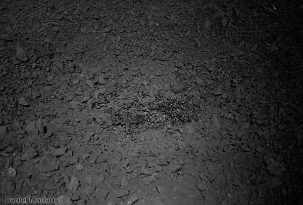mooninside 1571845054