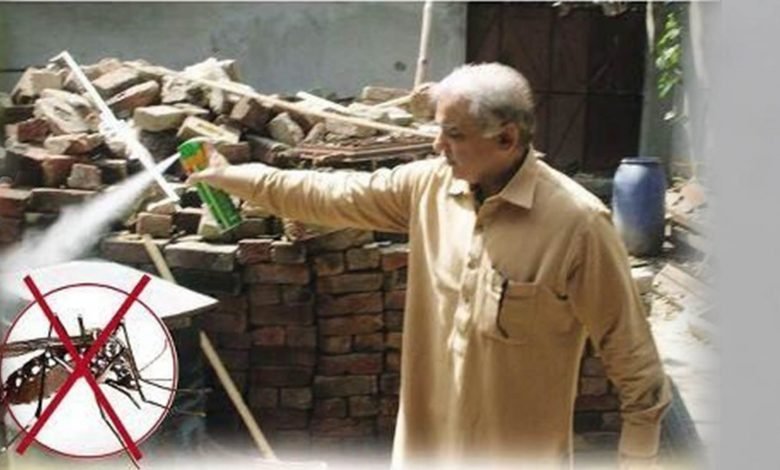 شہباز حکومت نے ڈینگی پر کیسے قابو پایا؟ 1 shahbaz 1 e1571125433287