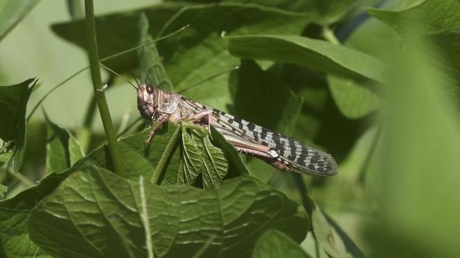 109609408 gettyimages 1181698877