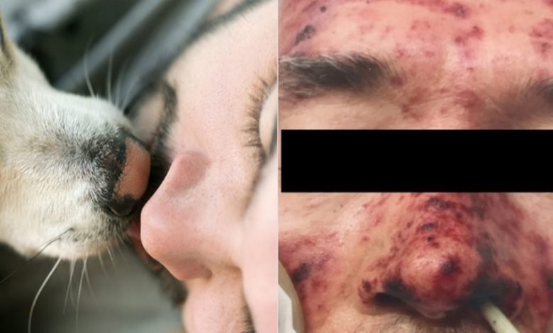 208901 4100209 updates