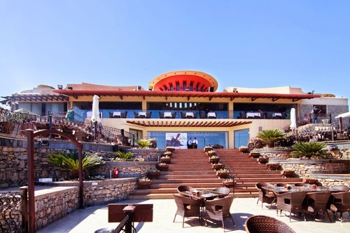 Monal