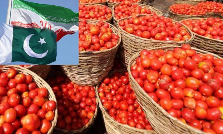 Pak iran tomato