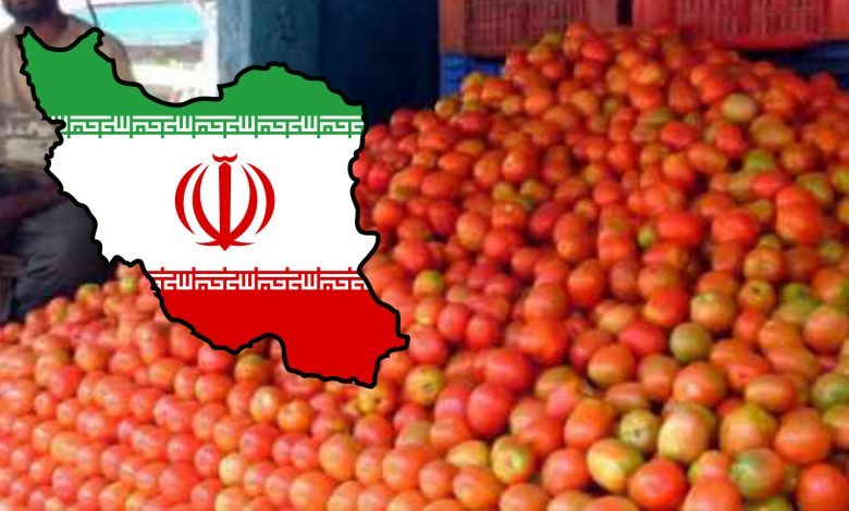 Timatar