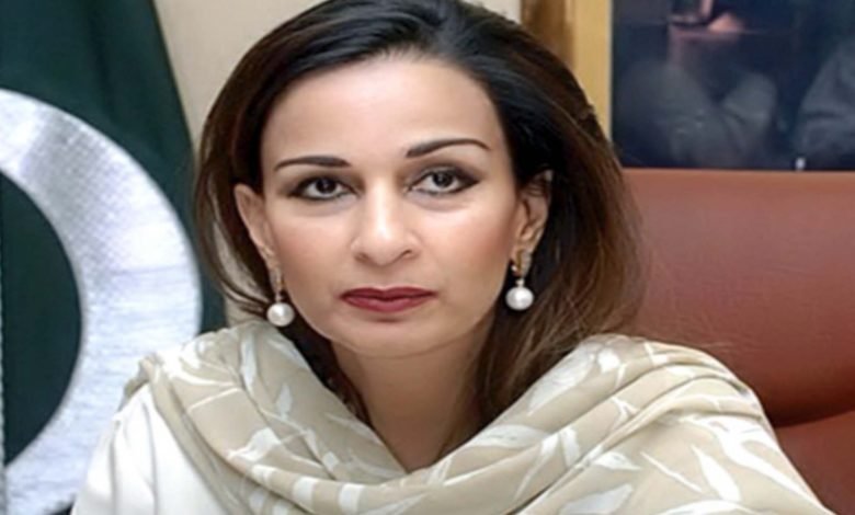 آرمی چیف کی توسیع کے معاملے پر آئین میں ترمیم کرنا ہوگی 1 sher