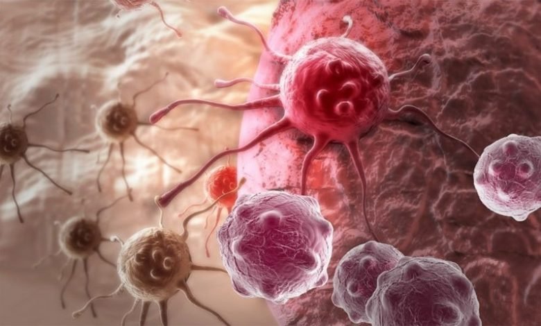 کینسر اور بانجھ پن کی شرح میں اضافے کی ممکنہ وجہ سامنے آگئی 1 Health