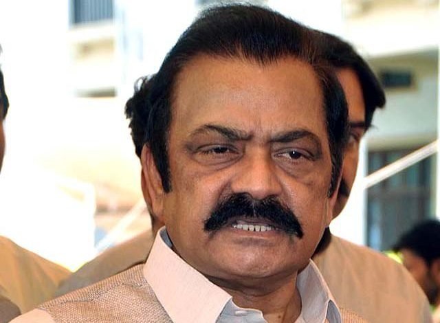 Rana Sana