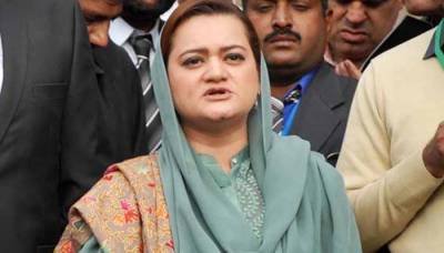 maryam aurangzeb offers help to information minister fawad chaudhry 1535290446 7675