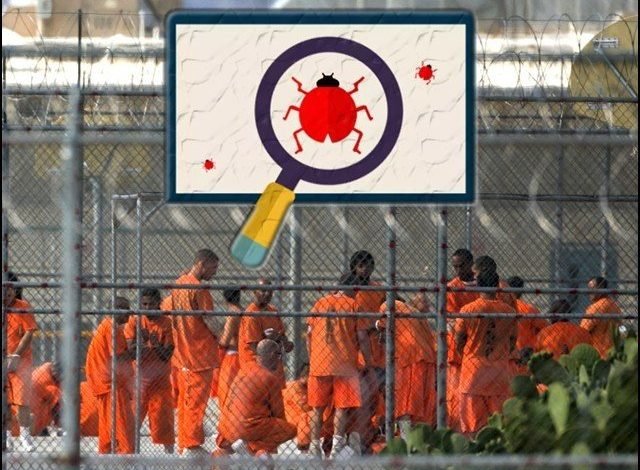 کمپیوٹر کی غلطی؛ سیکڑوں قیدی مہینوں تک رہائی سے محروم 1 1 softwarebugprisonx