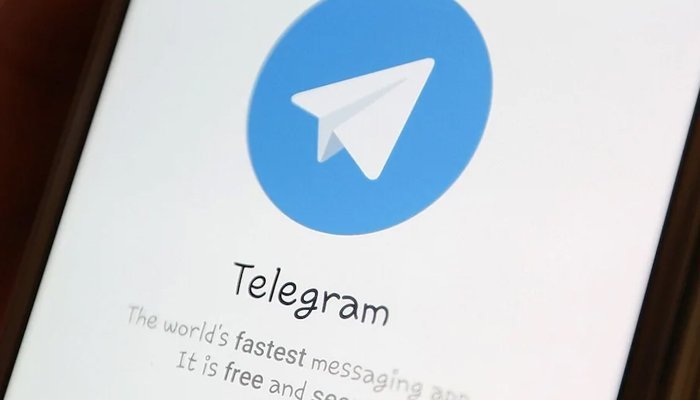 244339 4036331 updates