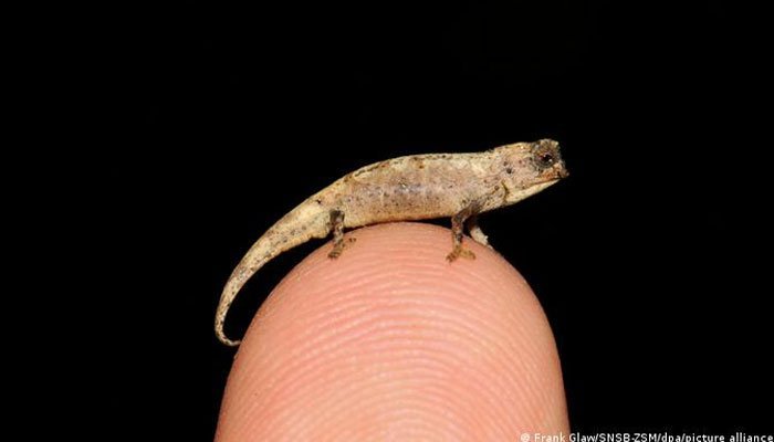 244375 7851762 updates