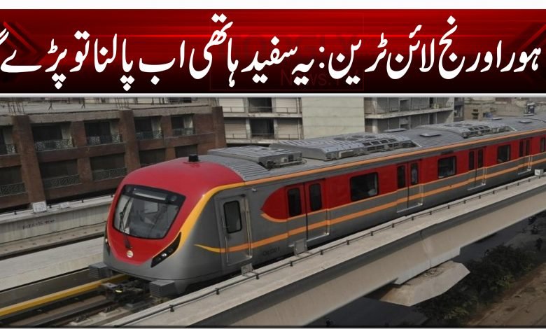 45454542158745212485121541