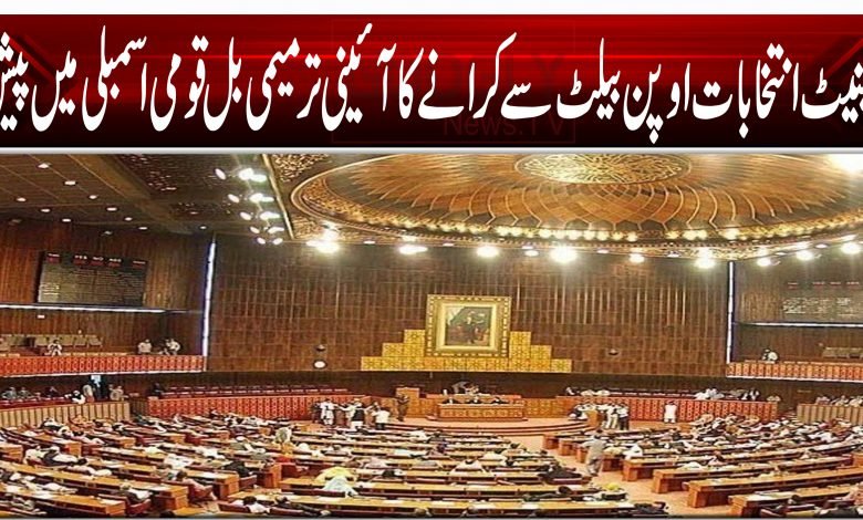 4546556216512215421455122656987469974