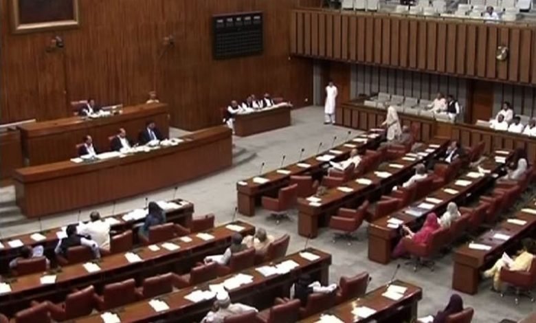 سینیٹ انتخابات: پنجاب میں تمام نشستوں پر امیدوار بلامقابلہ کامیاب 1 6037ae6fa0285 1