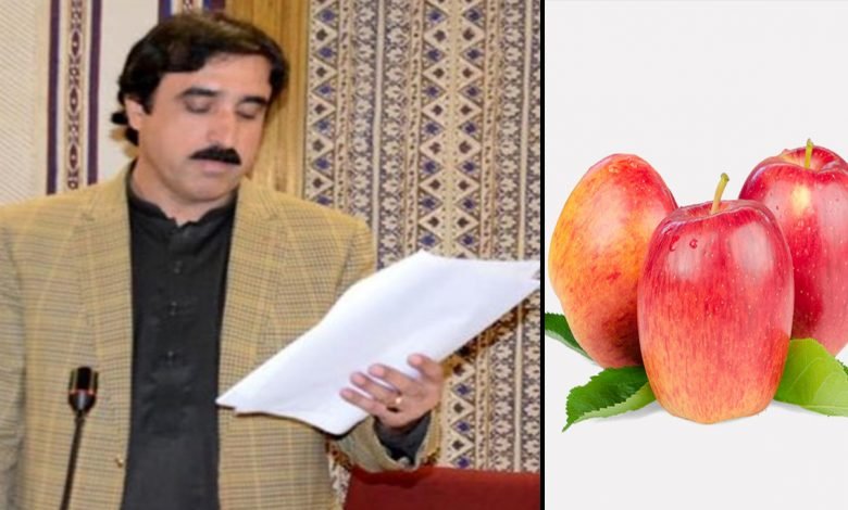 بلوچستان اسمبلی کا ایران سے سیب کی درآمد پر پابندی لگانے کا مطالبہ 1 714638 3806892 kamil akhbar 1