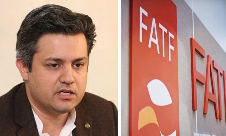 Hammad Azhar FATF