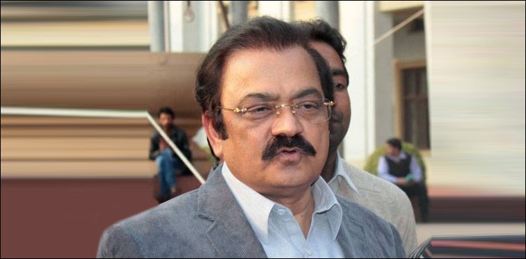 Rana Sana