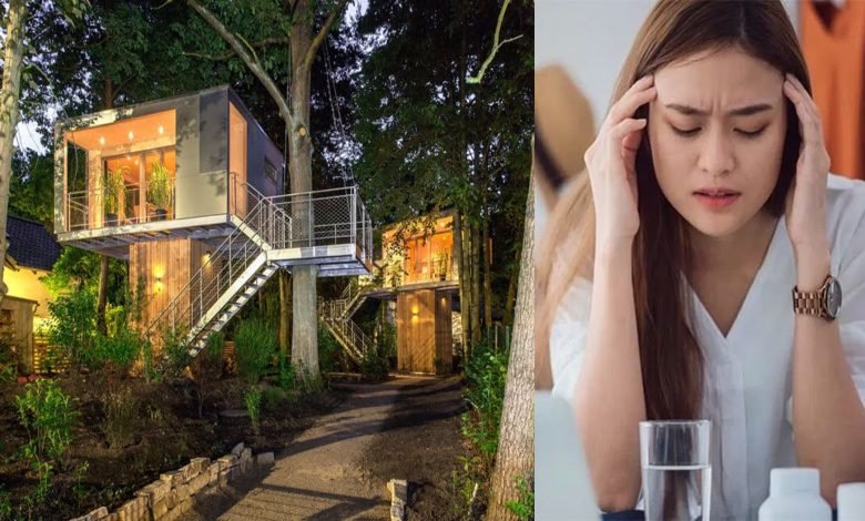گھروں کے قریب درختوں کی موجودگی ڈپریشن کا خطرہ کم کرے 1 Tree Home Depression