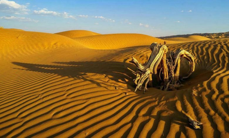 دنیا کا گرم ترین مقام: دشتِ لوط، ایران 1 fce 4f6f 97f