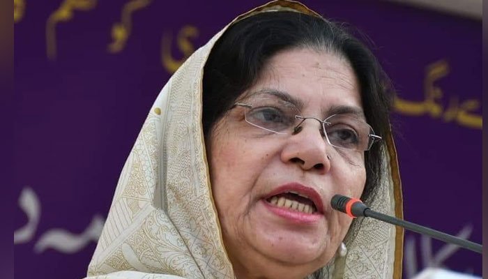 247910 9941566 updates