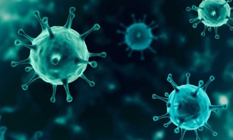 ایسی کورونا ویکسین کی تیاری جو گولی کی شکل میں دی جاسکے گی 1 6058e3f76495f