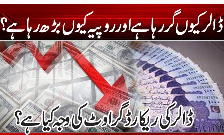 65454665465465465465465465465445600002020220202