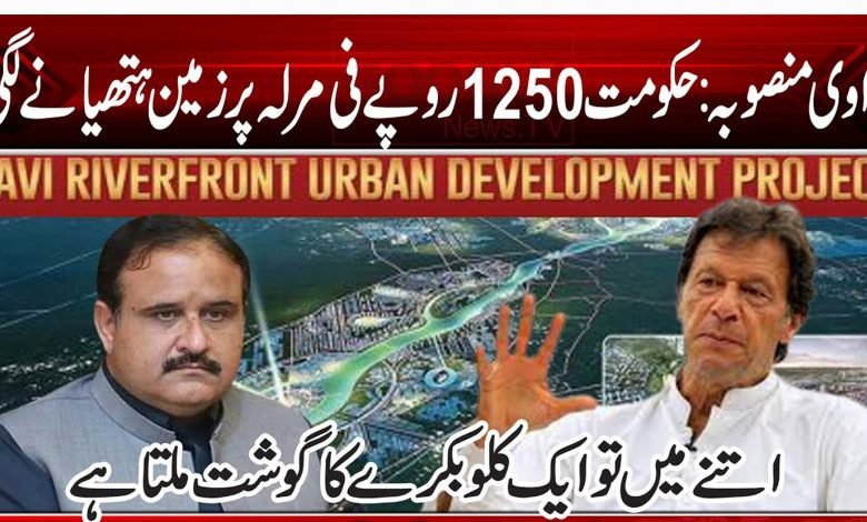 78789789798465156465132454