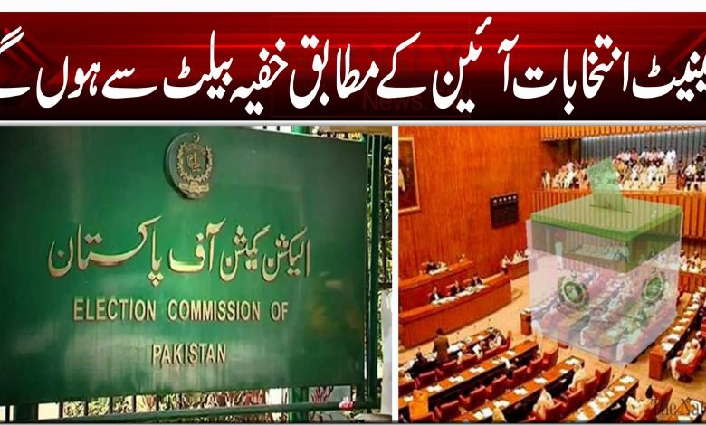 ecp senate elections 002