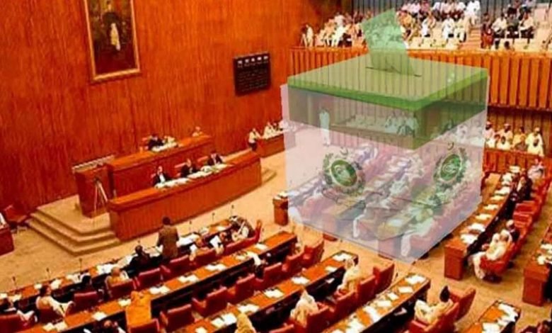 senate election