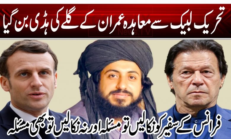 تحریک لبیک سے معاہدہ عمران کے گلے کی ہڈی بن گیا 1 21