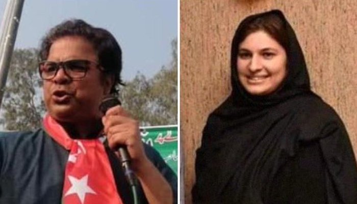 250666 7995223 updates