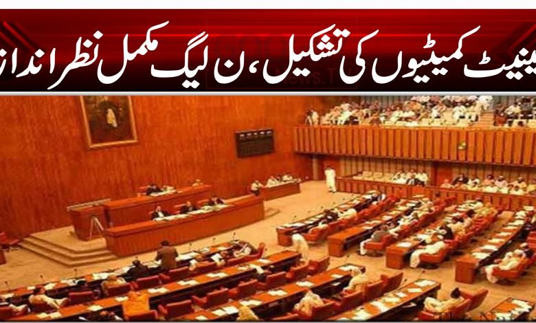 سینیٹ کمیٹیوں کی تشکیل، ن لیگ مکمل نظر انداز 1 545454sd545df45s454fd54fg54s54b kk k jkj j jh jh jh jh jh j hj 44 54 12 12 12 12 54 54 54 54