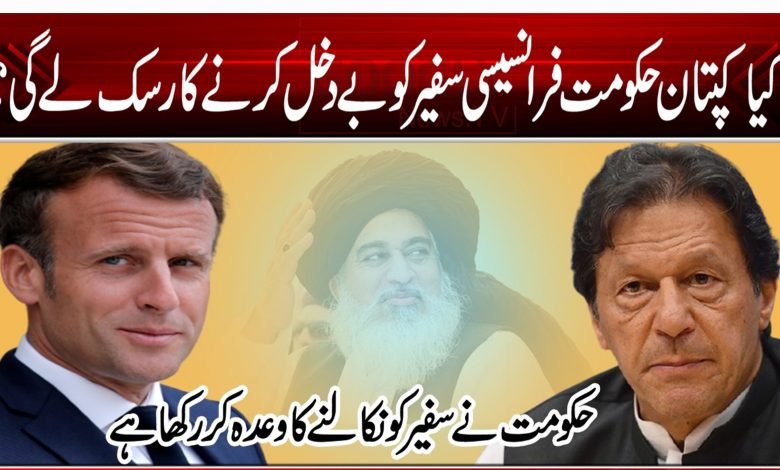 789784 65465 465 465 45 4 4654654 65456 454 4 4 4 454 5465 1352 154564654564 4 65 465 465 4 56