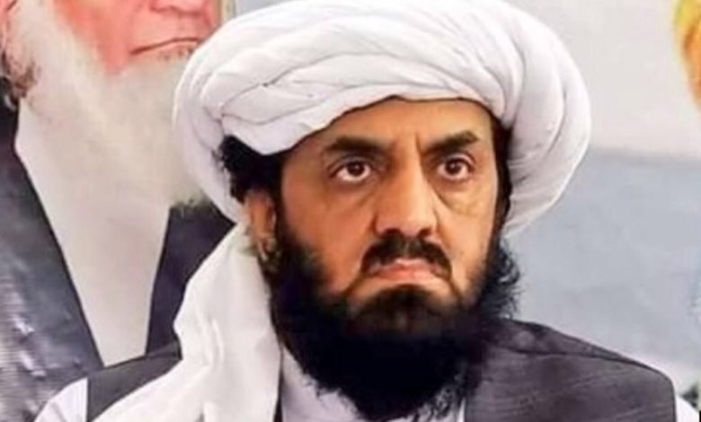 حافظ حمداللہ پی ڈی ایم کے سیکرٹری اطلاعات مقرر 1 EHzt3otWsAYzKQE