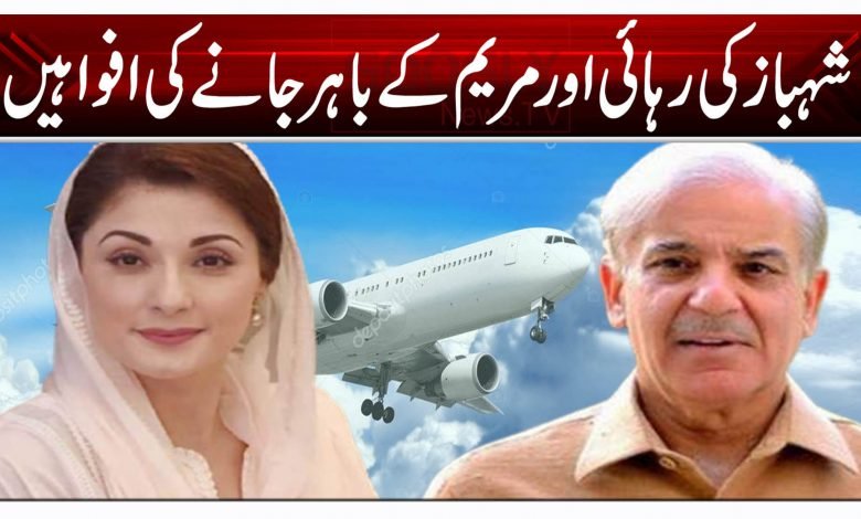 شہباز کی رہائی اور مریم کے باہر جانے کی افواہیں 1 bvv