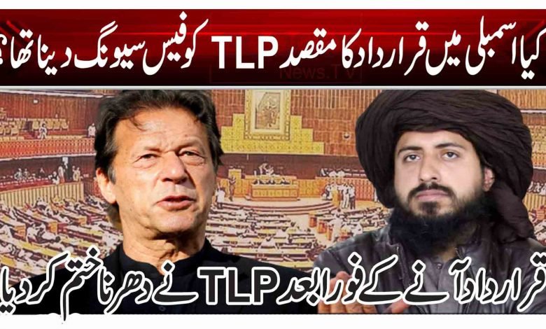 کیا اسمبلی میں قرارداد کا مقصد TLP کو فیس سیونگ دینا تھا؟ 1 ert 3