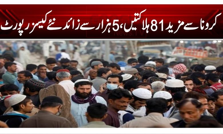 کرونا سے مزید 81 ہلاکتیں، 5 ہزار سے زائد نئے کیسز رپورٹ 1 gg
