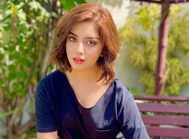 Aliza Shah once again came under severe criticism for her proper dress