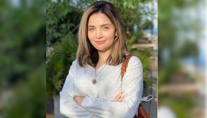 Armina Rana Khan's sharp response to the critics