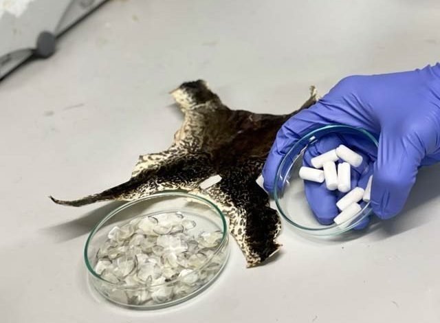 Fish shells and frog skins can repair human bones